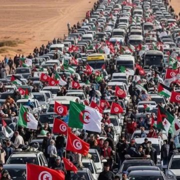 وائل نوار بعد صدور البيان المصري: “يا غزة اننا قادمون…”
