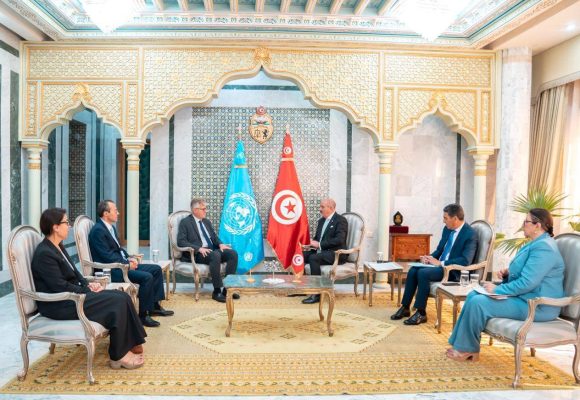 وكيل الأمين العام للأمم المتحدة المكلف بعمليات السلام في زيارة إلى تونس