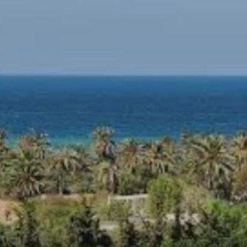 توقعات الرصد الجوي للساعات القادمة
