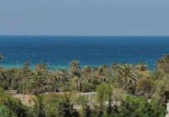توقعات الرصد الجوي للساعات القادمة