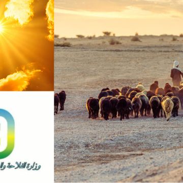 حماية للثروة الحيوانية في ظل موجة الحرارة الاستثنائية، وزارة الفلاحة على الخط…