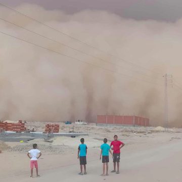 مرصد الطقس و المناخ: سرعة الرياح للعاصفة الرملية بتوزر بلغت 139 كلم/س (فيديو)