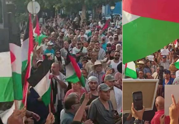 رفضا لتجويع غزة و من أجل اسقاط التطبيع، التونسيون يحتجون
