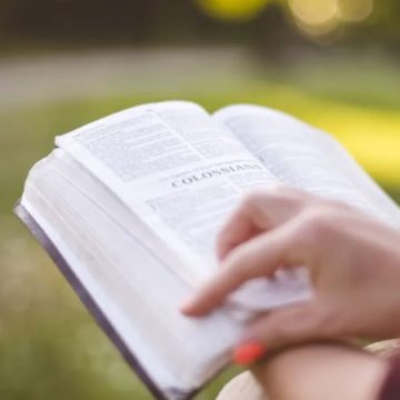 الصيف من لذة القراءة إلى غواية الرّحيل