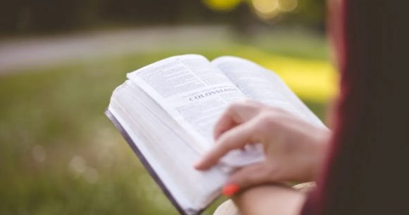 الصيف من لذة القراءة إلى غواية الرّحيل