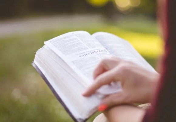 الصيف من لذة القراءة إلى غواية الرّحيل