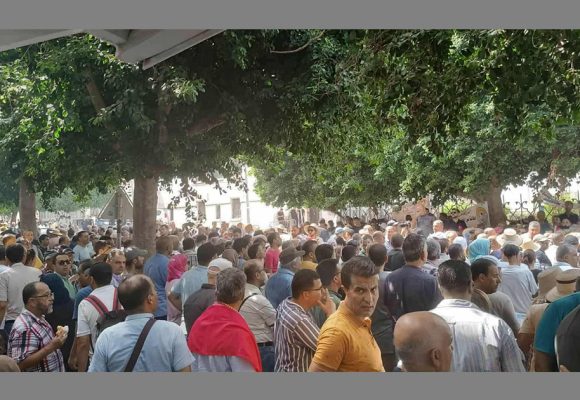 أمام وزارة التربية بتونس العاصمة: وقفة احتجاجية لنقابيي التعليم (فيديو)