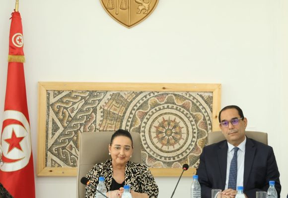 آخر الأخبار حول تحضير ملف ادراج سيدي بوسعيد في لائحة التراث العالمي لليونسكو