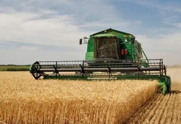 فلاحة: تقييم موسم الحبوب 2024-2025 و الاستعدادات لموسم البذر المقبل