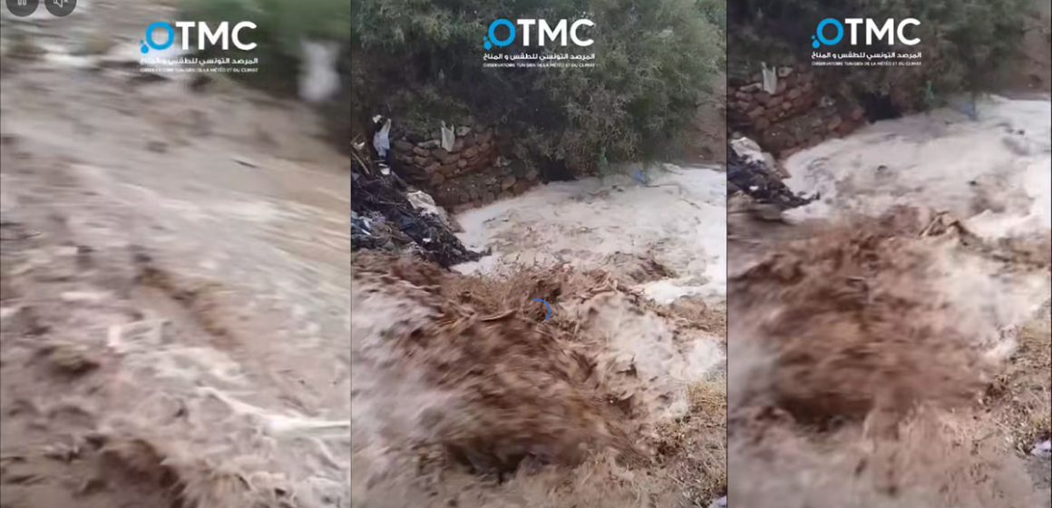 جندوبة: فيديو يوثق التقلبات الجوية و سيلان الأمطار بغار الدماء