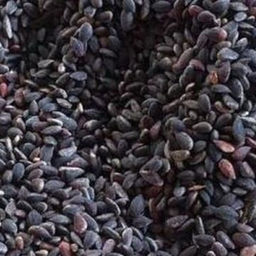 خطر على صحة المواطن : حجز وإتلاف أطنان من ‘الزقوقو’ والفواكه الجافة