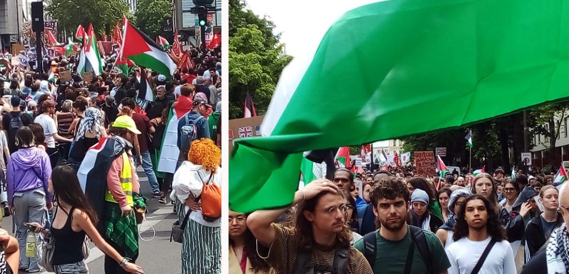 تحوّل العلم الفلسطيني من راية وطنية إلى رمز كوني لمقاومة الظلم