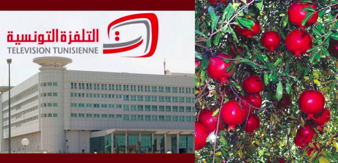 ريبورطاج الوطنية حول رمان قابس، الشاعر الضاوي: “رجعنا للجان التنسيق”