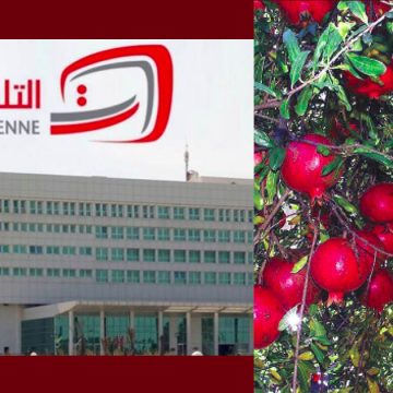 ريبورطاج الوطنية حول رمان قابس، الشاعر الضاوي: “رجعنا للجان التنسيق”