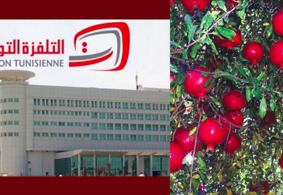 ريبورطاج الوطنية حول رمان قابس، الشاعر الضاوي: “رجعنا للجان التنسيق”