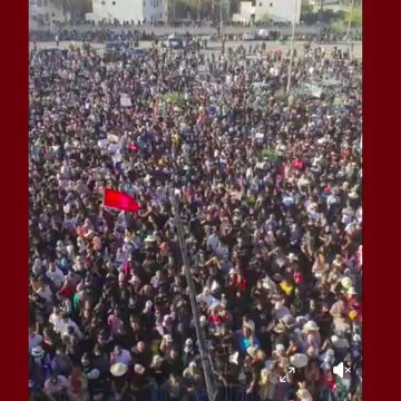 الهاني يكتب: قابس تنتفض من أجل الحق في البيئة ومن أجل الحق في الحياة