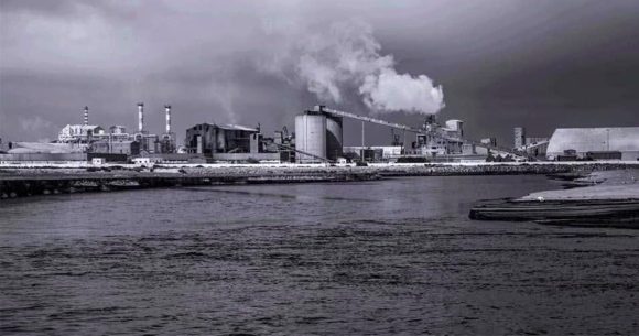 قابس بطلب من محامي المجمع الكميائي، تأجيل القضية إلى يوم 20 نوفمبر الجاري (فيديو)