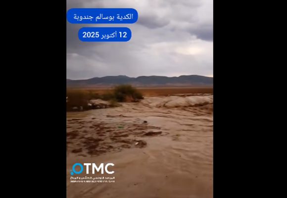 مرصد الطقس و المناخ : مياه الأودية بريف جندوبة تجرف امرأة و قطيع أغنامها