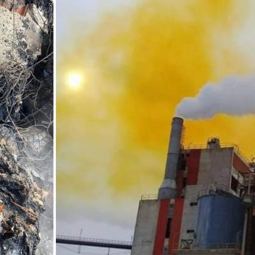 بالمناسبة، الكرباعي يعود مجددا لقضية النفايات الايطالية و تواصل نشاط المافيا البيئية