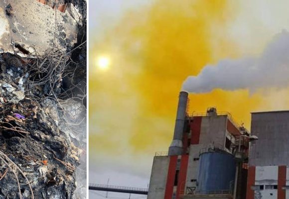 بالمناسبة، الكرباعي يعود مجددا لقضية النفايات الايطالية و تواصل نشاط المافيا البيئية