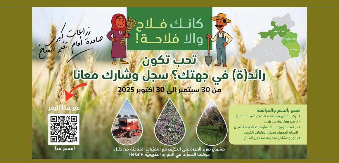 جندوبة : نحو تصرّف مستدام في الموارد الطبيعيّة