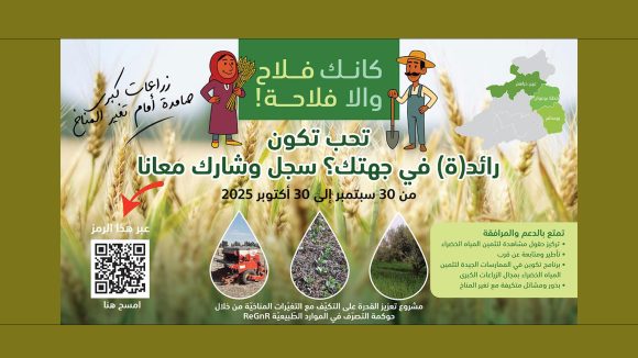جندوبة : نحو تصرّف مستدام في الموارد الطبيعيّة