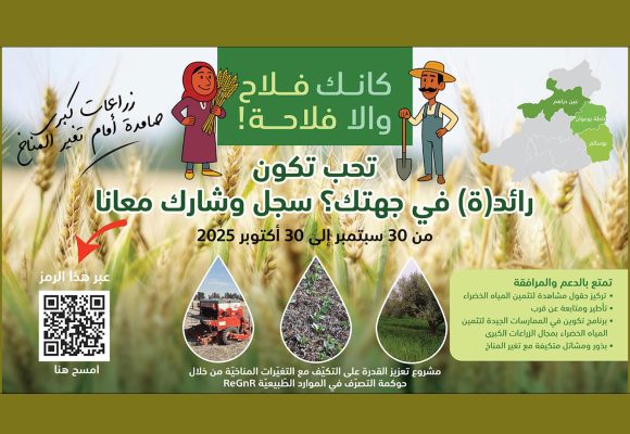 جندوبة : نحو تصرّف مستدام في الموارد الطبيعيّة