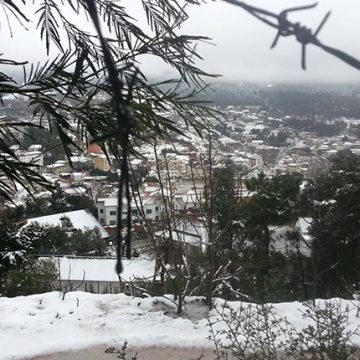 مرصد الطقس و المناخ: احتمال نزول كميات ضعيفة من الثلوج صباح غد الخميس بعين دراهم مرصد الطقس و المناخ: احتمال نزول كميات ضعيفة من الثلوج صباح غد الخميس بعين دراهم