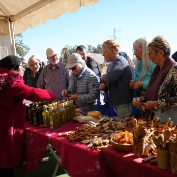 ثروات تونس: زيارة إلى هنشير الشعّال بصفاقس لتعزيز السياحة الفلاحية ثروات تونس: زيارة إلى هنشير الشعّال بصفاقس لتعزيز السياحة الفلاحية