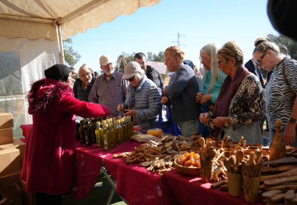 ثروات تونس: زيارة إلى هنشير الشعّال بصفاقس لتعزيز السياحة الفلاحية