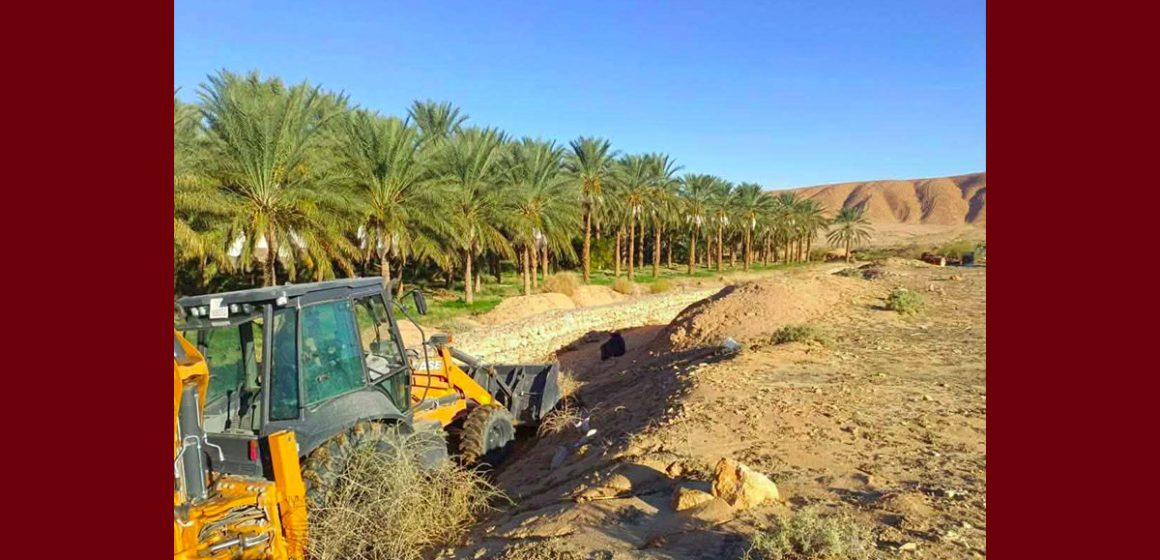 توزر توزر: حماية من زحف الرمال، حملة تشجير بمعتمديتي حزوة و تمغزة