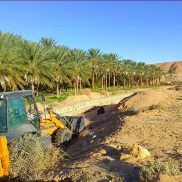 توزر: حماية من زحف الرمال، حملة تشجير بمعتمديتي حزوة و تمغزة