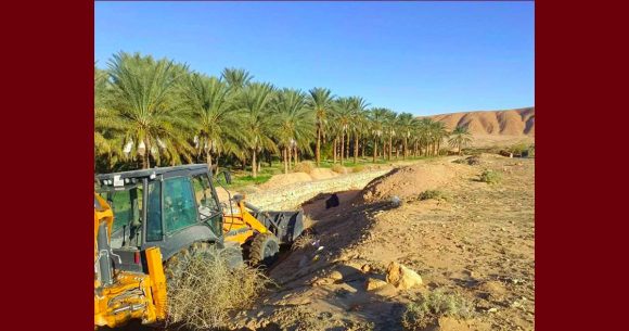 توزر: حماية من زحف الرمال، حملة تشجير بمعتمديتي حزوة و تمغزة