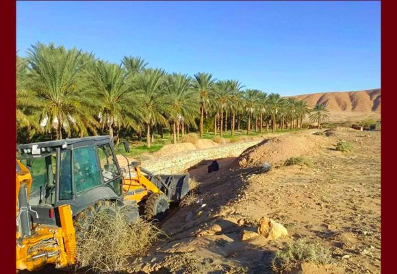 توزر: حماية من زحف الرمال، حملة تشجير بمعتمديتي حزوة و تمغزة