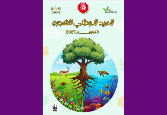 عيد الشجرة 2025: اختيار غراسة أشجار الزيتون و نخيل الواشنطونيا