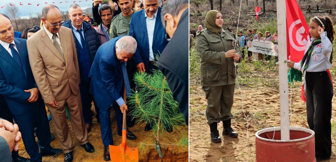 وزارة الفلاحة: تحت شعار: “تونسنا نرويها وغاباتنا نميّوها”، حملة تشجير وطنية