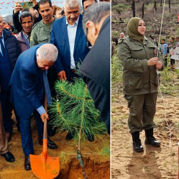 وزارة الفلاحة: تحت شعار: “تونسنا نرويها وغاباتنا نميّوها”، حملة تشجير وطنية