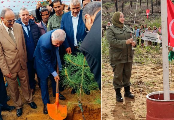 وزارة الفلاحة: تحت شعار: “تونسنا نرويها وغاباتنا نميّوها”، حملة تشجير وطنية