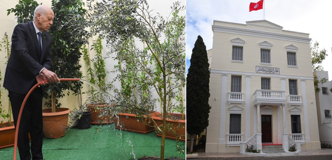 fête de l'arbre الرئيس بمناسبة عيد الشجرة: “بالرغم من كل العقبات، سنواصل البناء و التشييد” (فيديو)