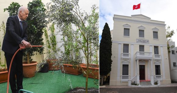 fête de l'arbre الرئيس بمناسبة عيد الشجرة: “بالرغم من كل العقبات، سنواصل البناء و التشييد” (فيديو)