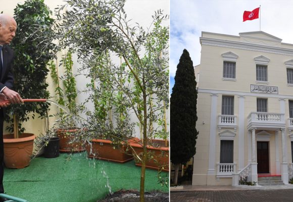 الرئيس بمناسبة عيد الشجرة: “بالرغم من كل العقبات، سنواصل البناء و التشييد” (فيديو)
