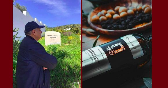 إيطاليا: زيت زيتون نصر توكابر يتحصل مجددا على الميدالية الذهبية