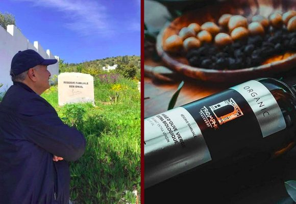 إيطاليا: زيت زيتون نصر توكابر يتحصل مجددا على الميدالية الذهبية