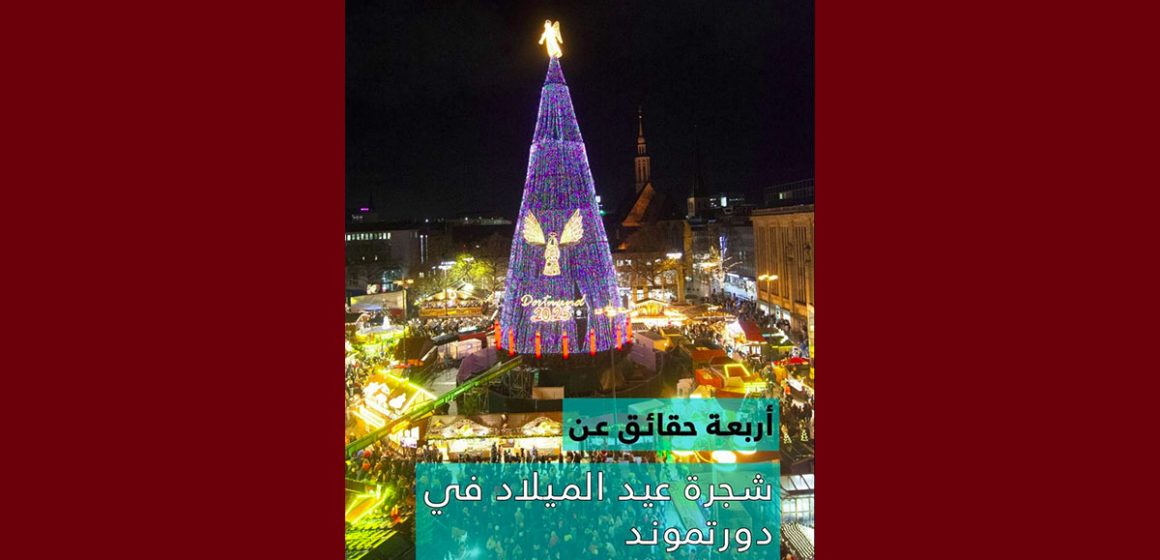 سفارة ألمانيا بتونس تكتب عن أكبر شجرة عيد ميلاد في العالم