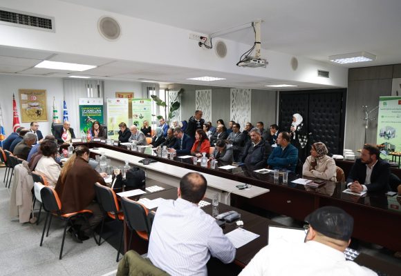 جربة: انطلاق أشغال انجاز وحدة تثمين النفايات لتحويلها إلى طاقة كهربائية