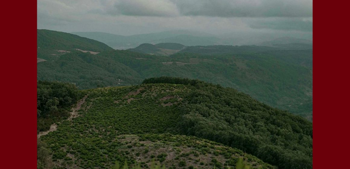 توقعات الرصد الجوي في الساعات القليلة القادمة…