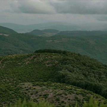 عين دراهم توقعات الرصد الجوي في الساعات القليلة القادمة…