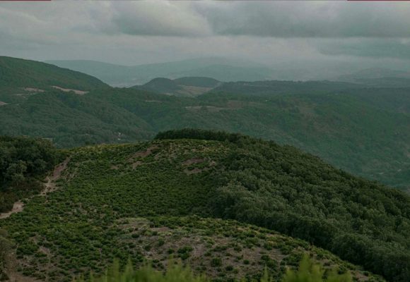 توقعات الرصد الجوي في الساعات القليلة القادمة…