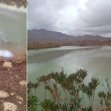 القصرين: توقيا من الأمراض، دعوة من حاسي الفريد الى عدم استغلال مياه بحيرتيتن