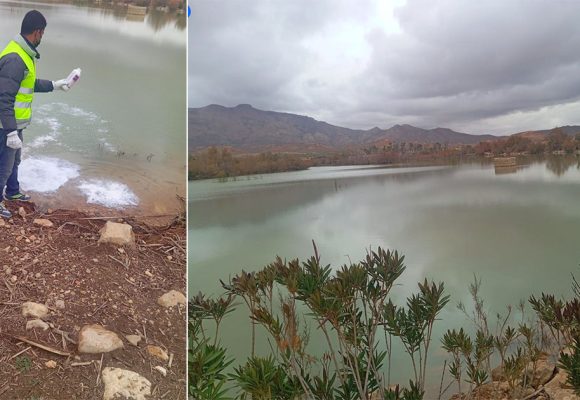 القصرين: توقيا من الأمراض، دعوة من حاسي الفريد الى عدم استغلال مياه بحيرتيتن